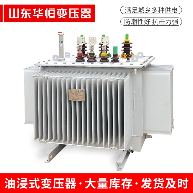 S13-10000/35沽源沽源沽源电力变压器